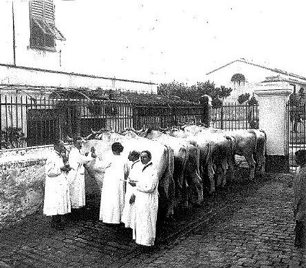 istituto maragliano 2 - Copia.jpg